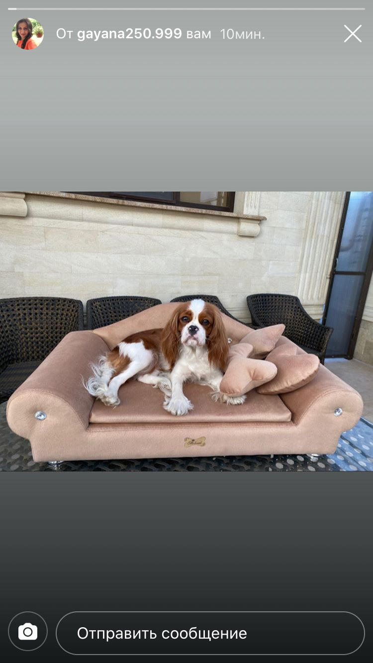 Melenni